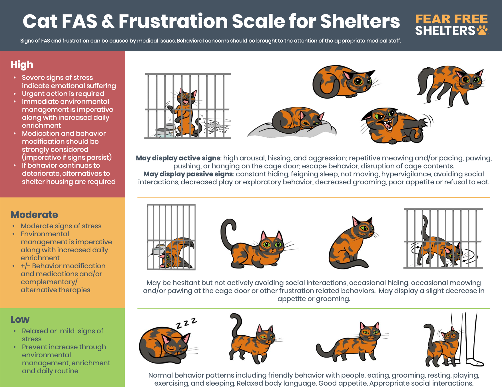 Shelter Cat Series: Enrichment 101 — Shelter Behavior Integrations by ...